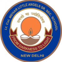 Lt. Col. Mehar Little Angels Senior Secondary School
